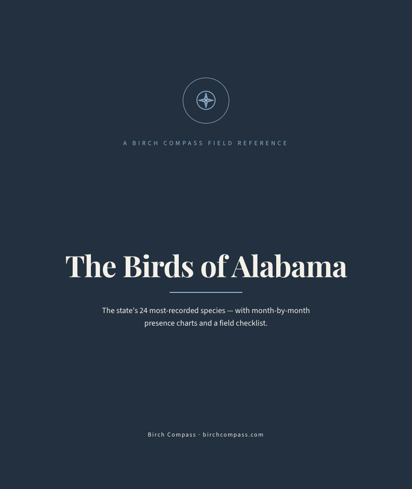 Example cover: Birds of Alabama