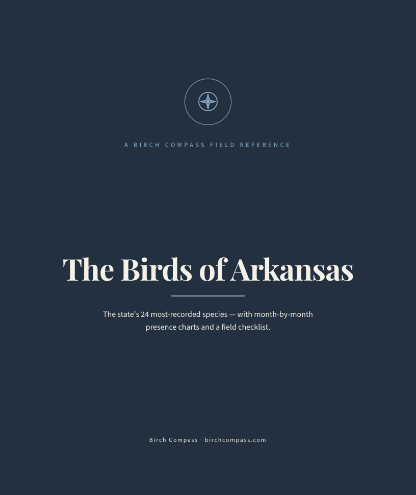 The cover of Birds of Arkansas