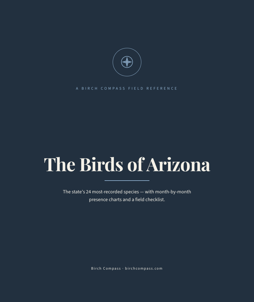 The cover of Birds of Arizona