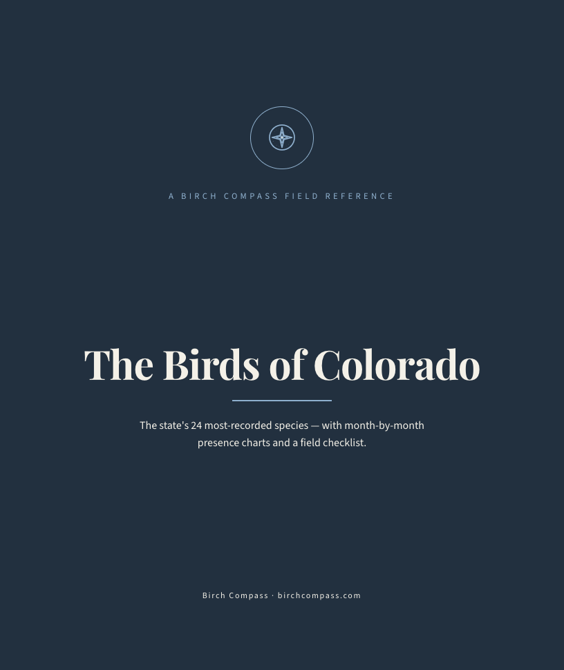 The cover of Birds of Colorado