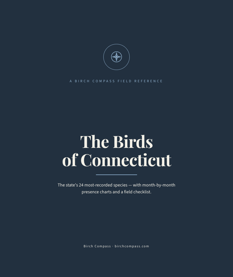 The cover of Birds of Connecticut