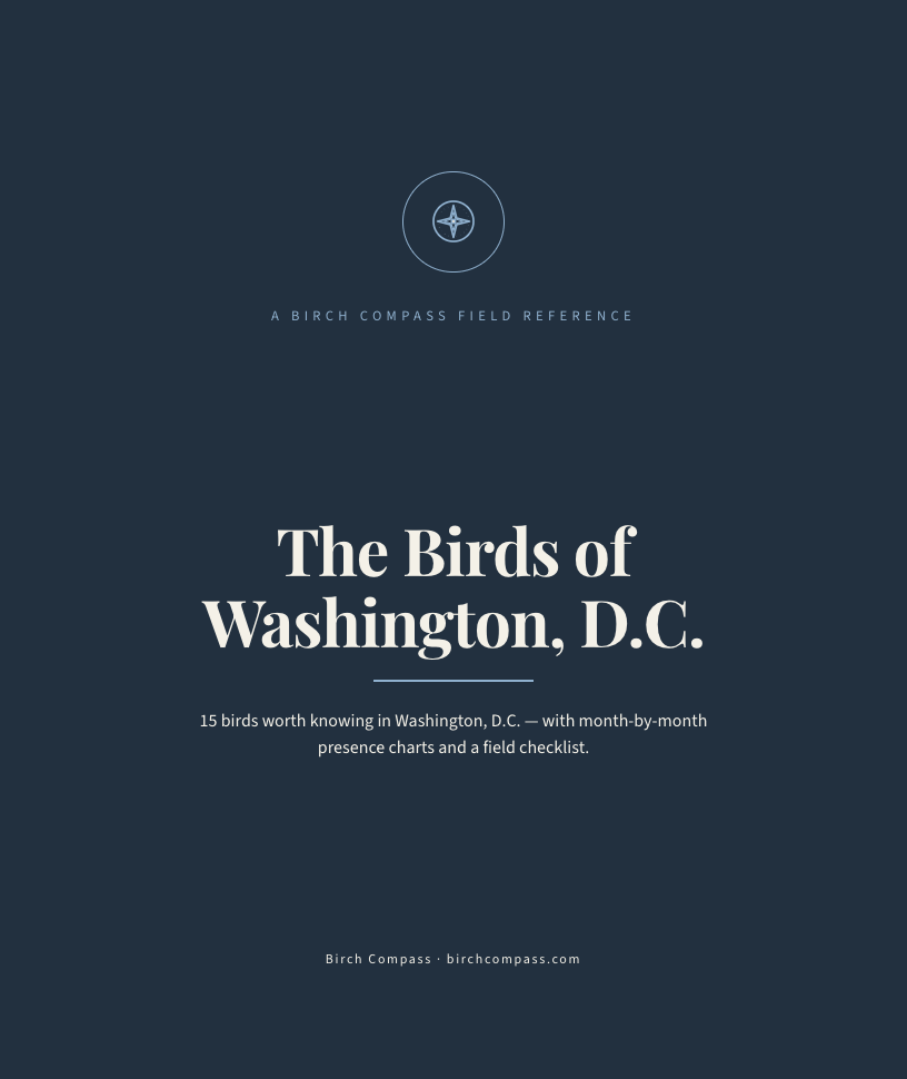 The cover of Birds of Washington, D.C.
