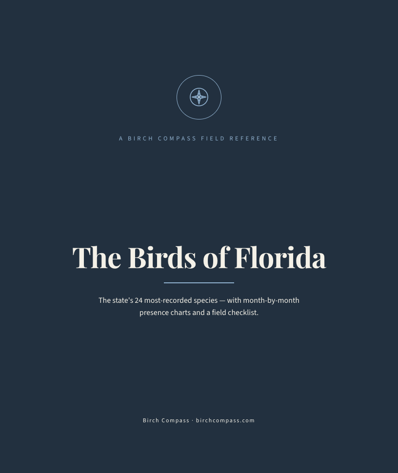 The cover of Birds of Florida