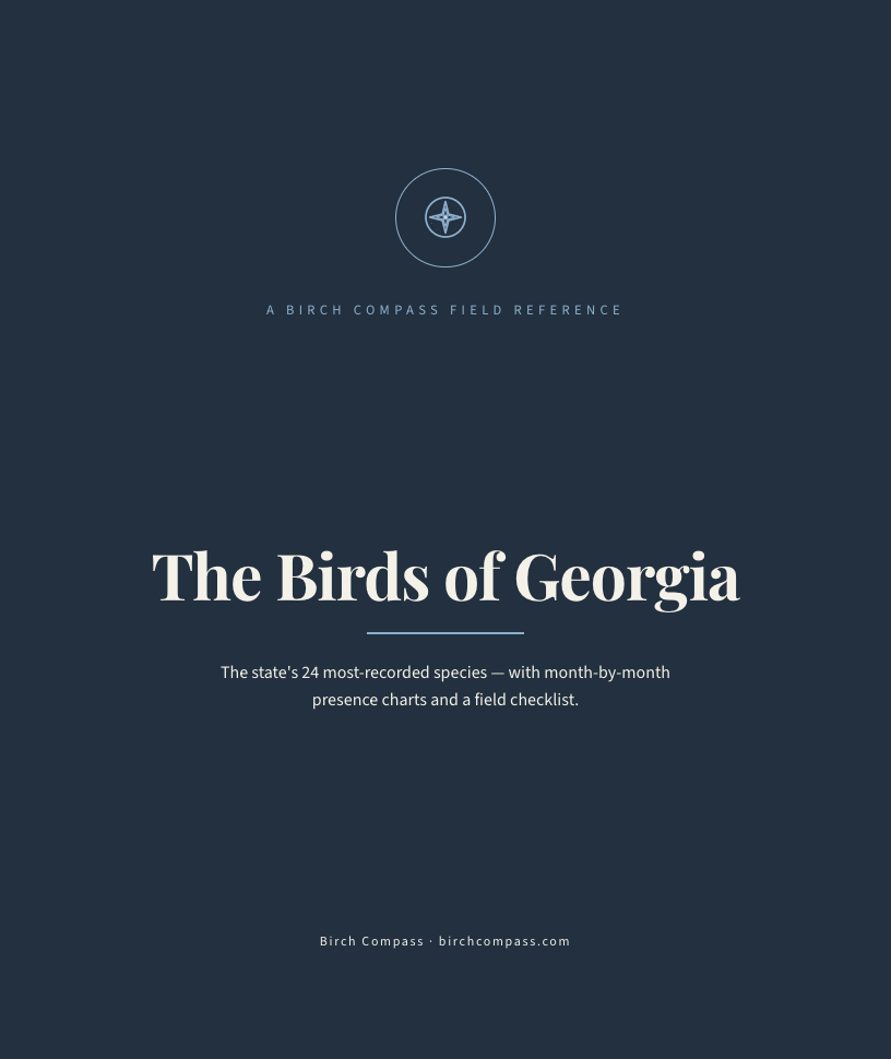 The cover of Birds of Georgia