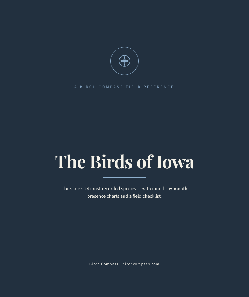The cover of Birds of Iowa
