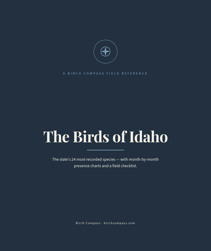 The cover of Birds of Idaho