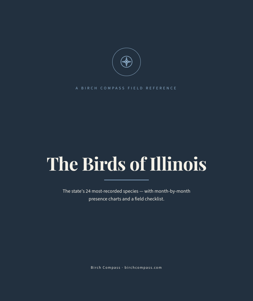 The cover of Birds of Illinois