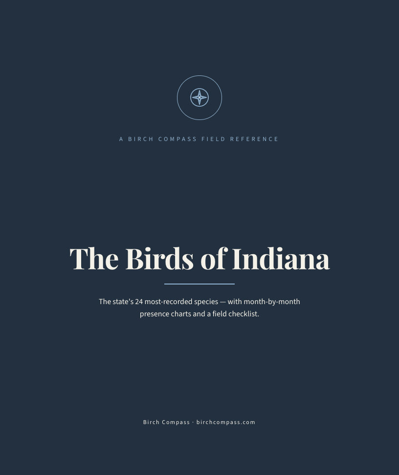The cover of Birds of Indiana