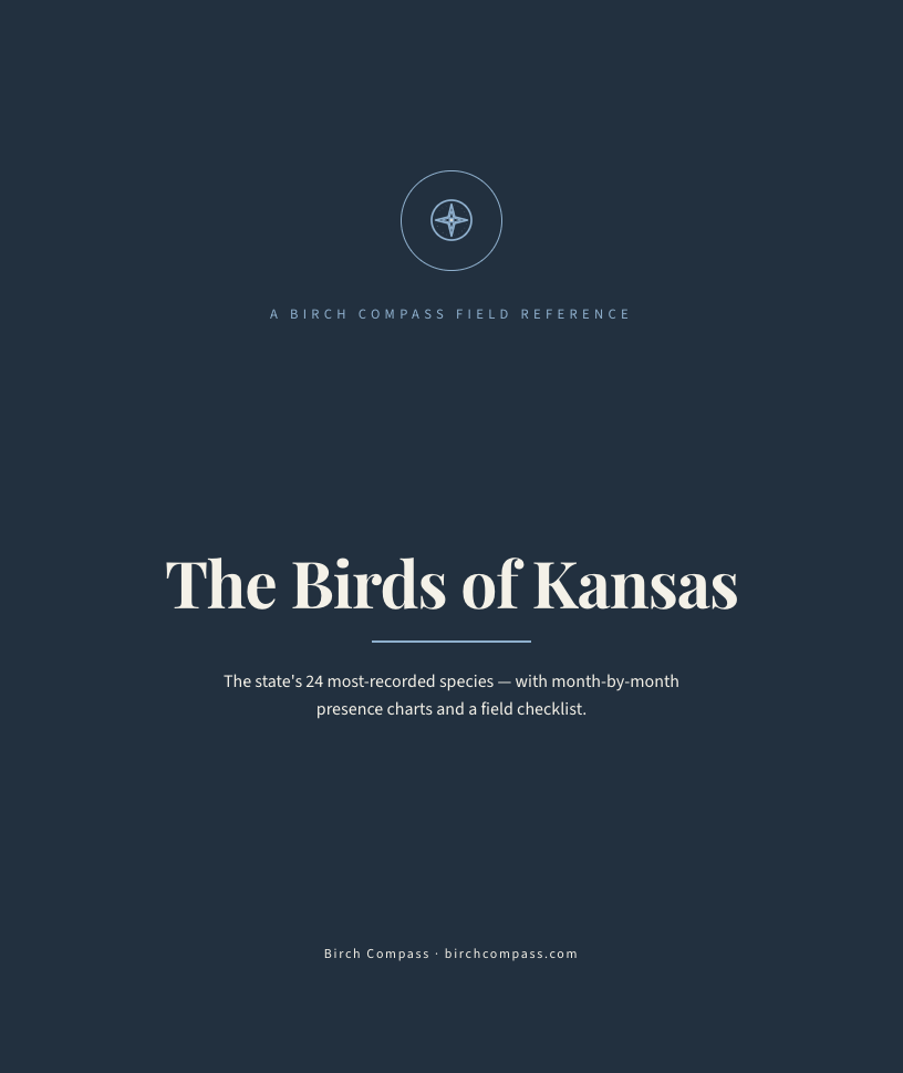 The cover of Birds of Kansas