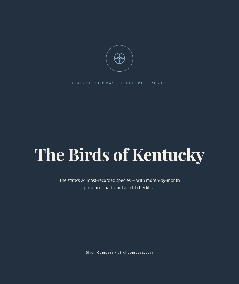 The cover of Birds of Kentucky