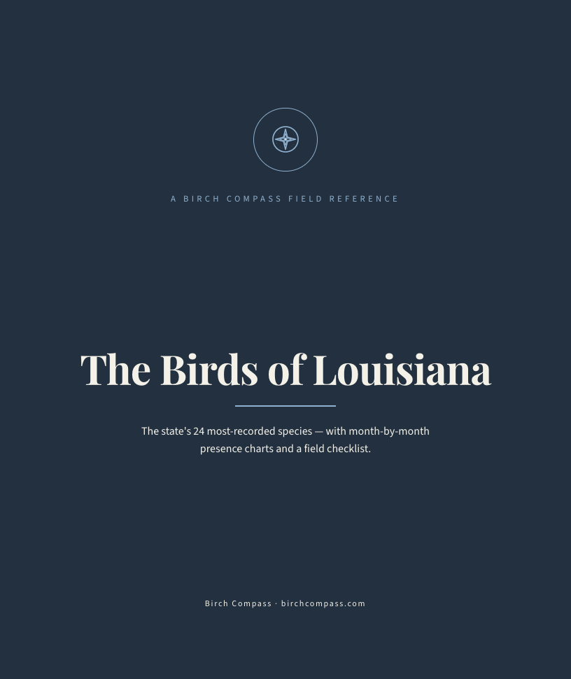 The cover of Birds of Louisiana