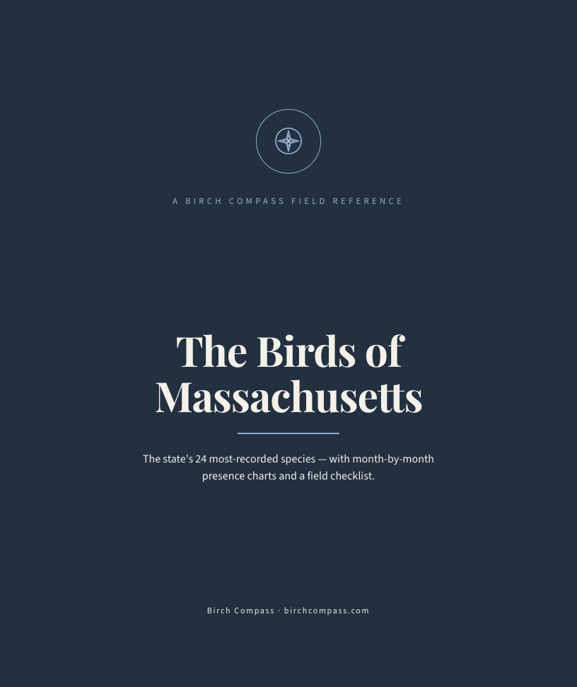 The cover of Birds of Massachusetts