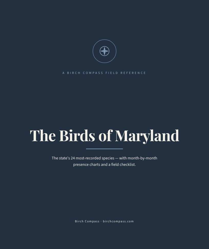 The cover of Birds of Maryland