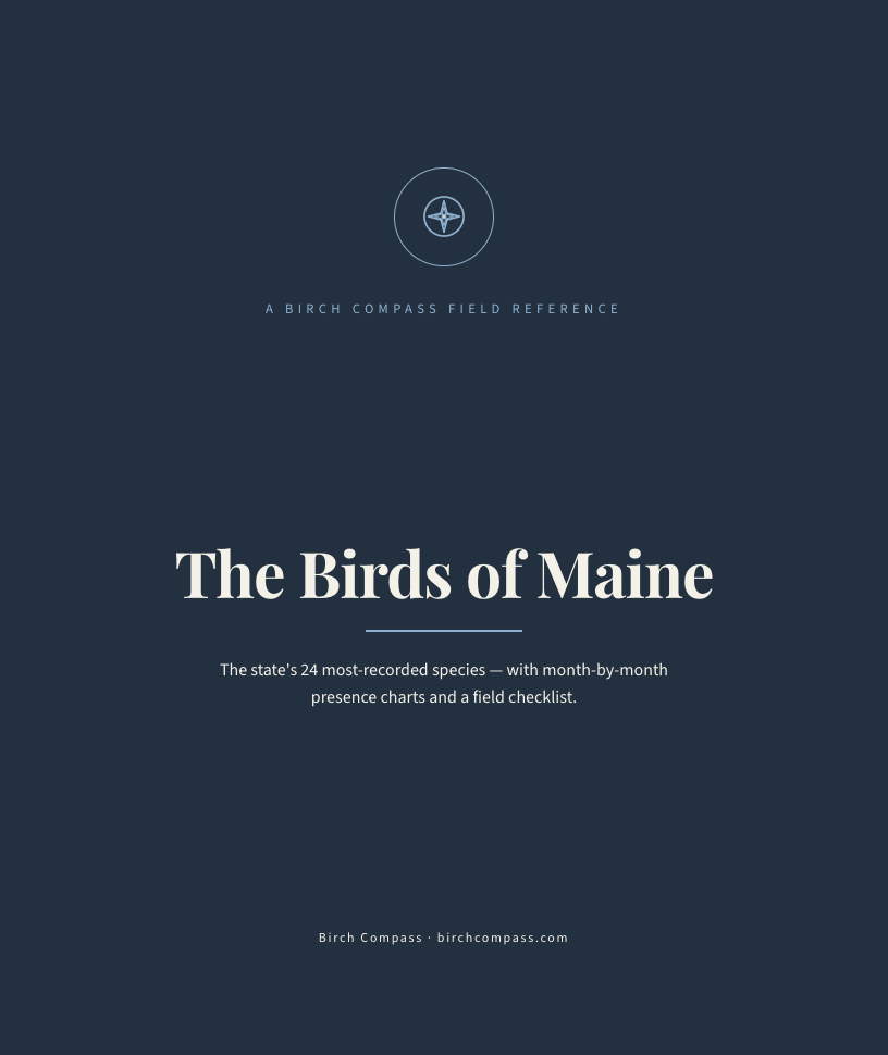 The cover of Birds of Maine