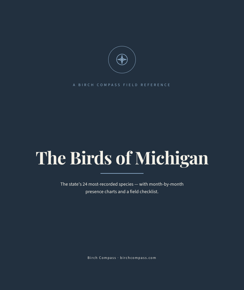 The cover of Birds of Michigan