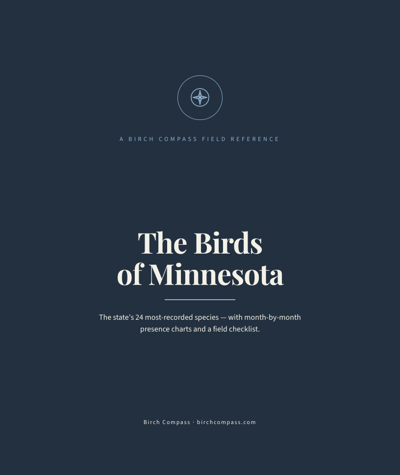 The cover of Birds of Minnesota