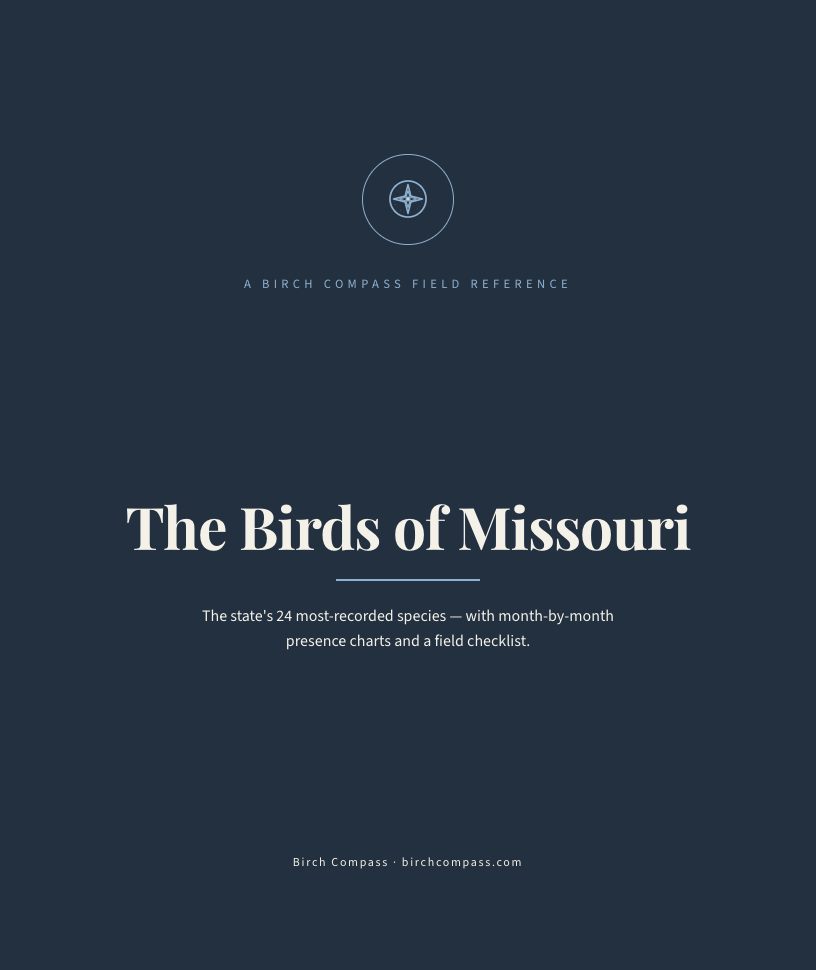The cover of Birds of Missouri