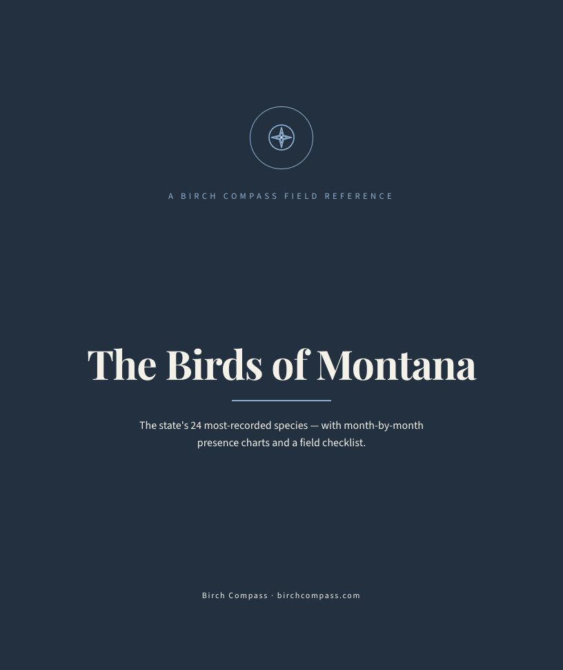 The cover of Birds of Montana