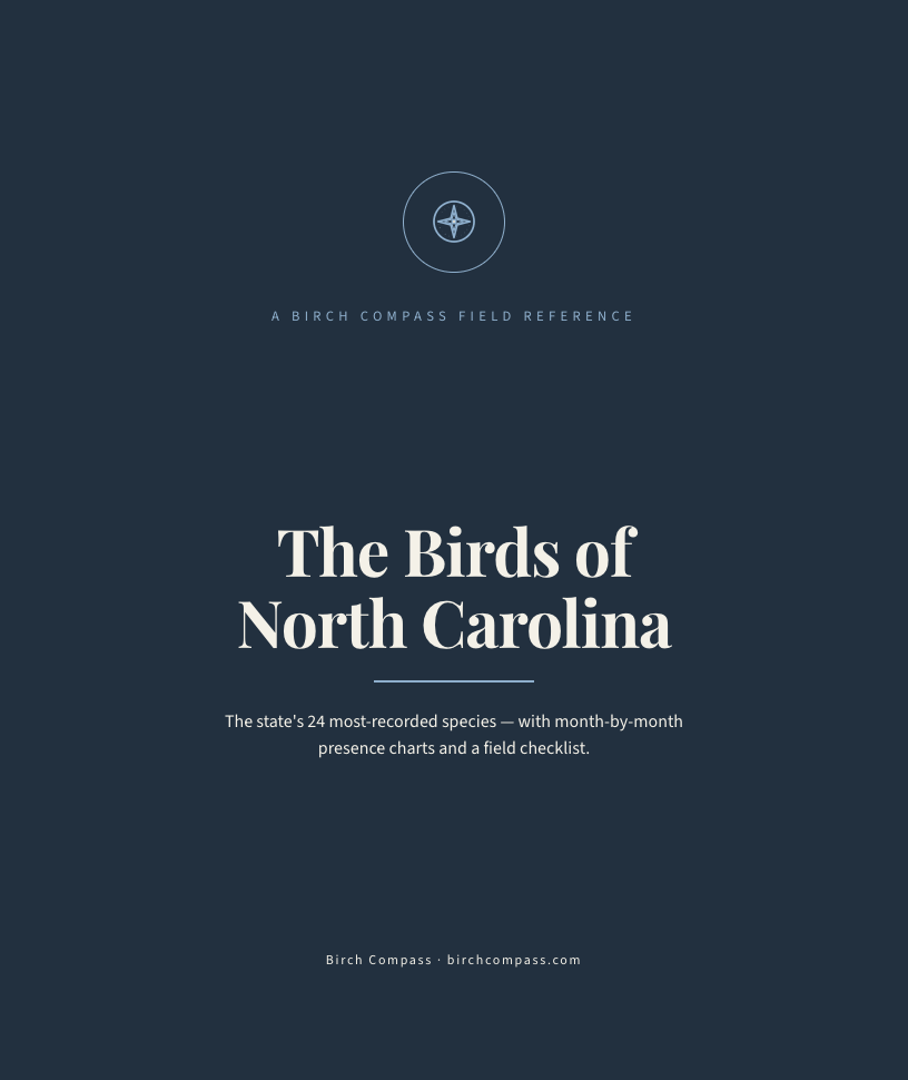 The cover of Birds of North Carolina