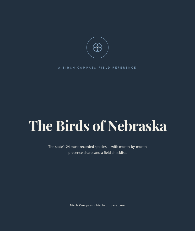The cover of Birds of Nebraska