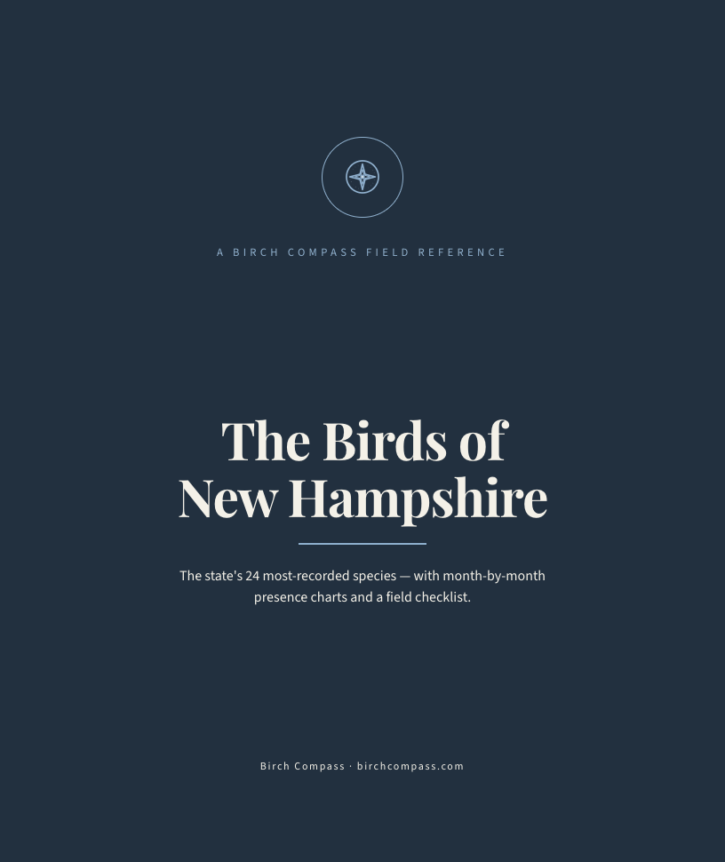 The cover of Birds of New Hampshire