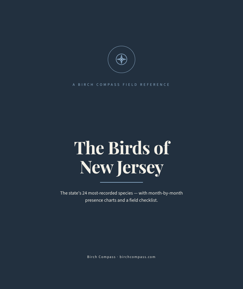 The cover of Birds of New Jersey