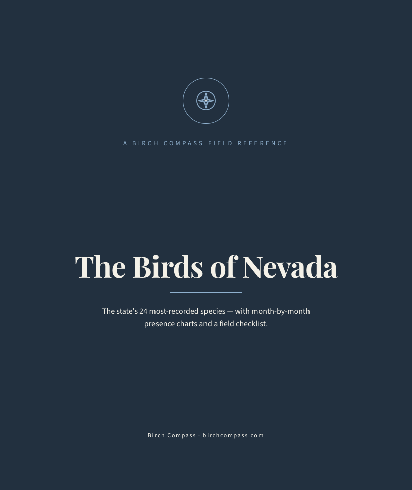 The cover of Birds of Nevada