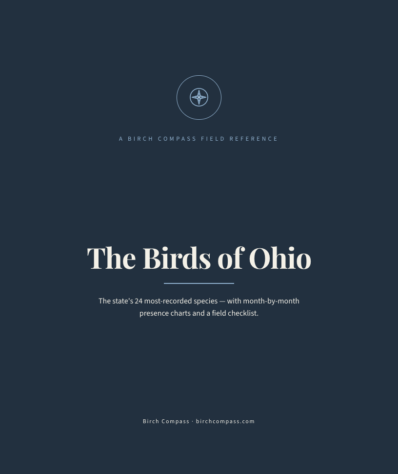 The cover of Birds of Ohio
