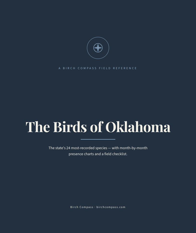 The cover of Birds of Oklahoma