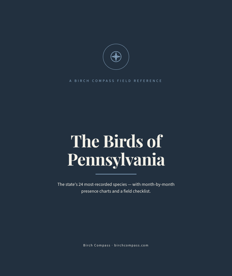 The cover of Birds of Pennsylvania