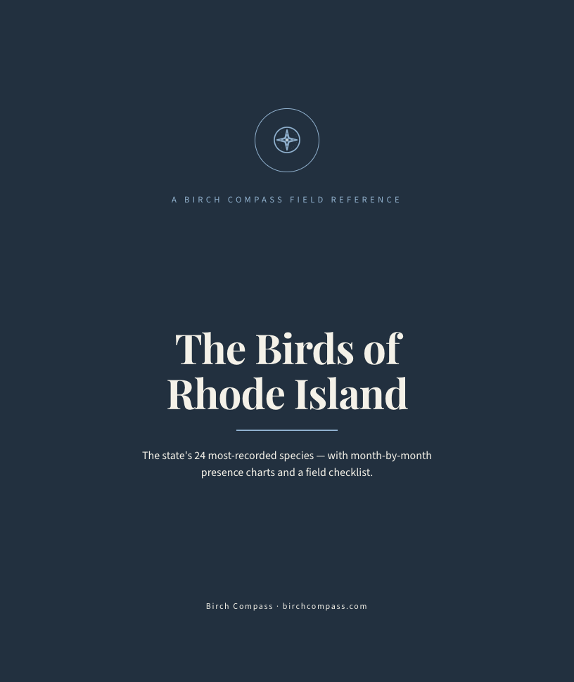 The cover of Birds of Rhode Island