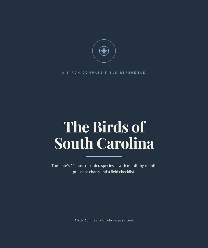 The cover of Birds of South Carolina