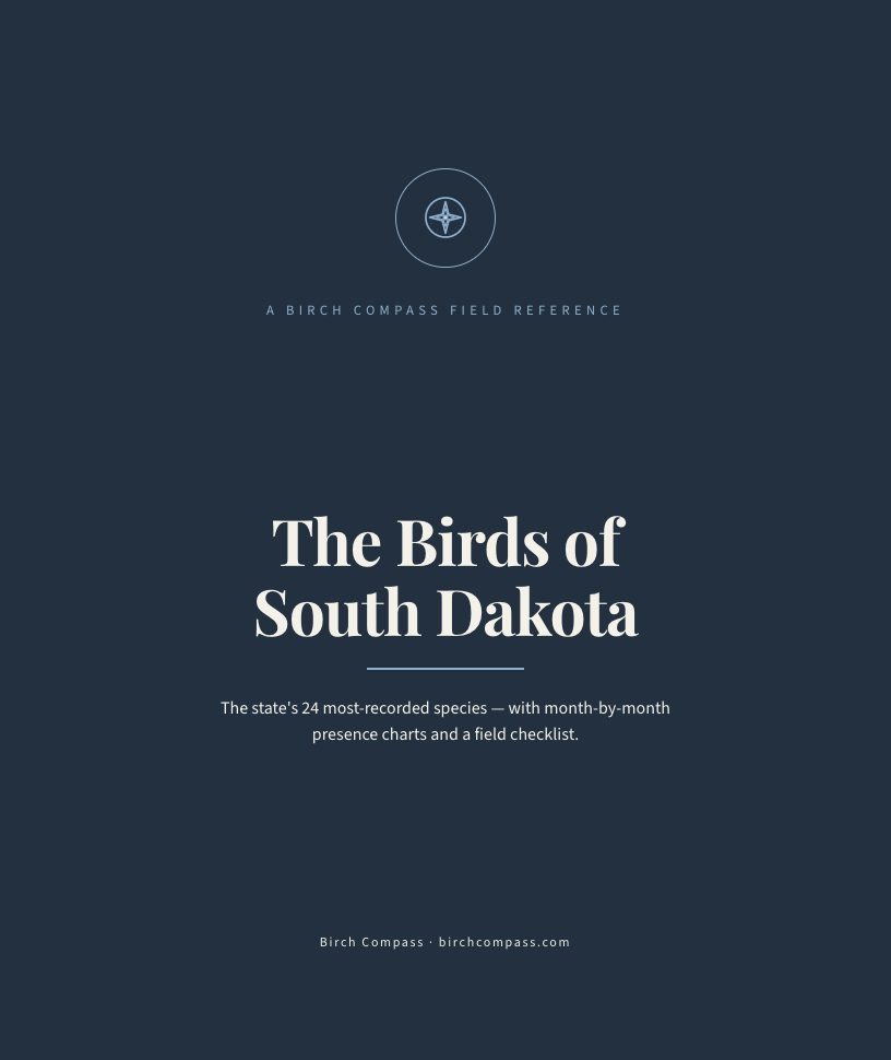 The cover of Birds of South Dakota