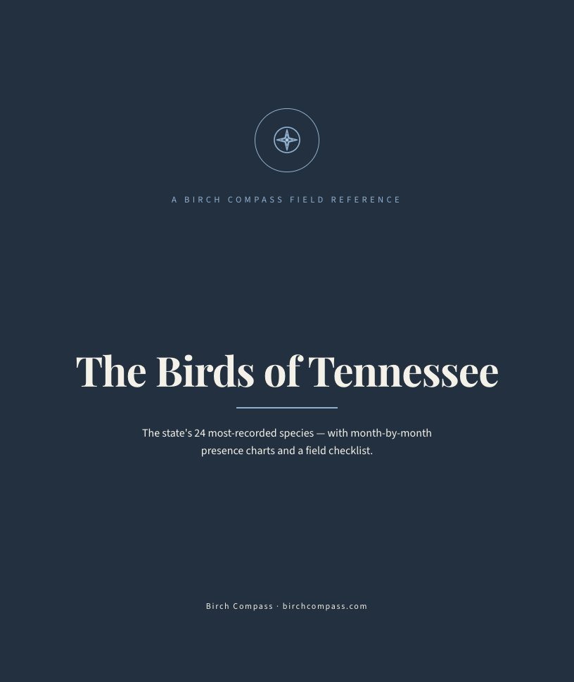The cover of Birds of Tennessee