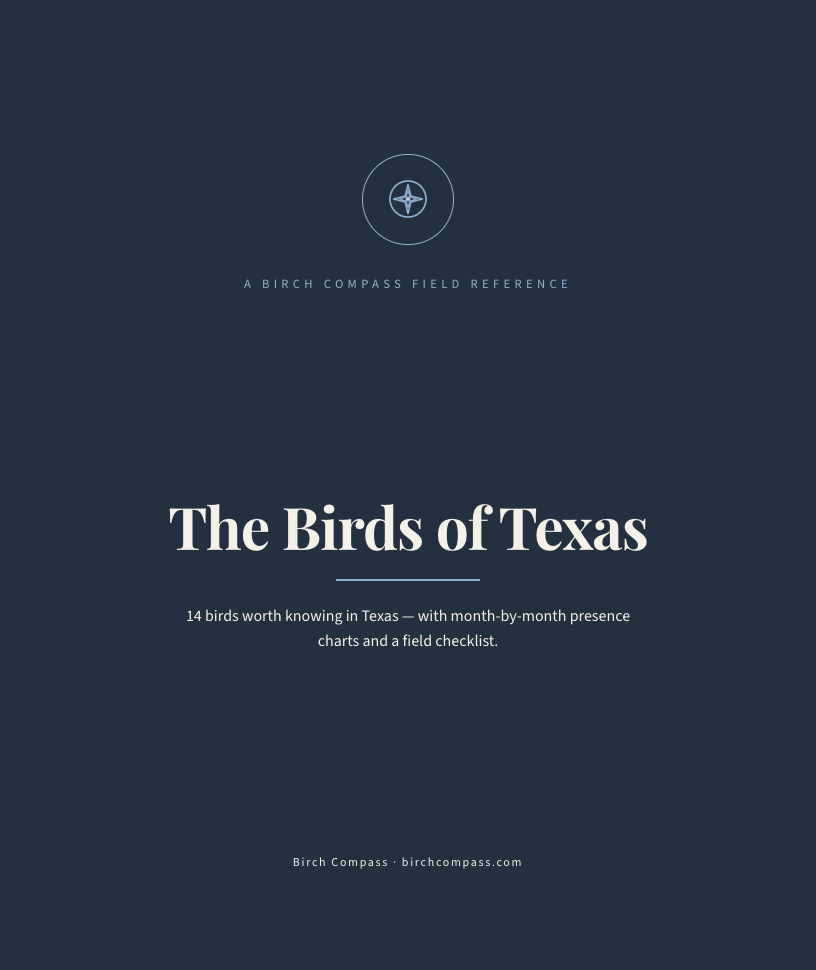 The cover of Birds of Texas