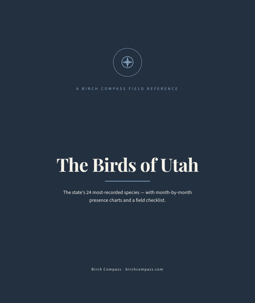 The cover of Birds of Utah