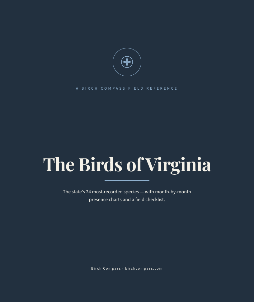 The cover of Birds of Virginia