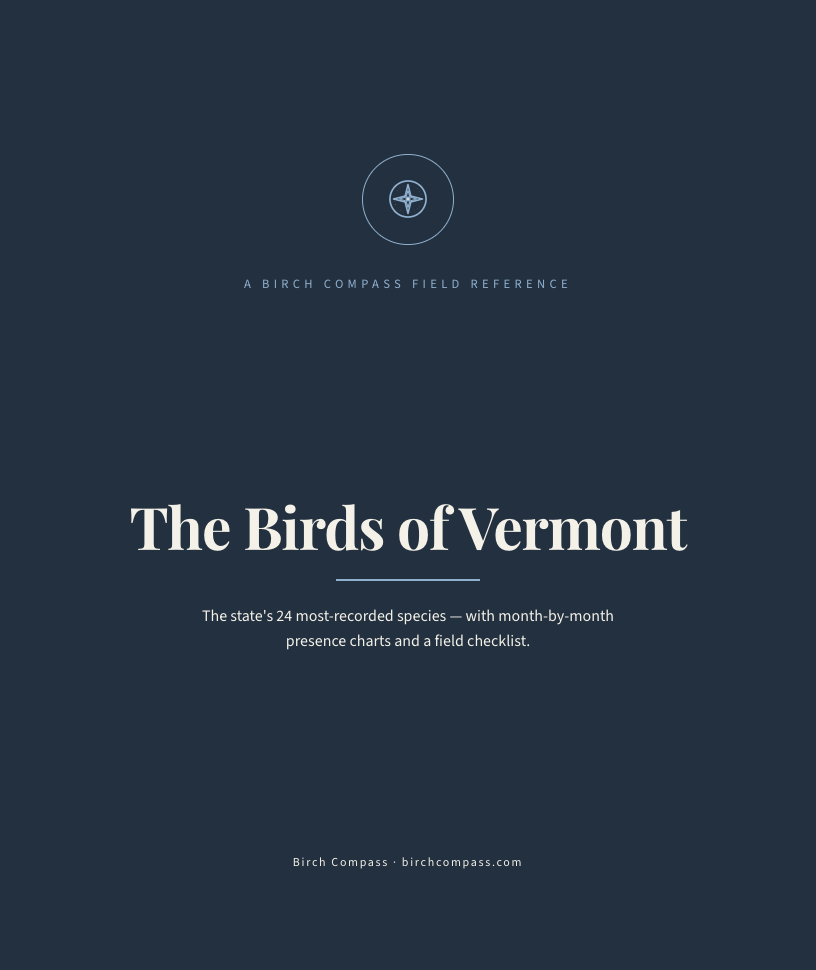 The cover of Birds of Vermont
