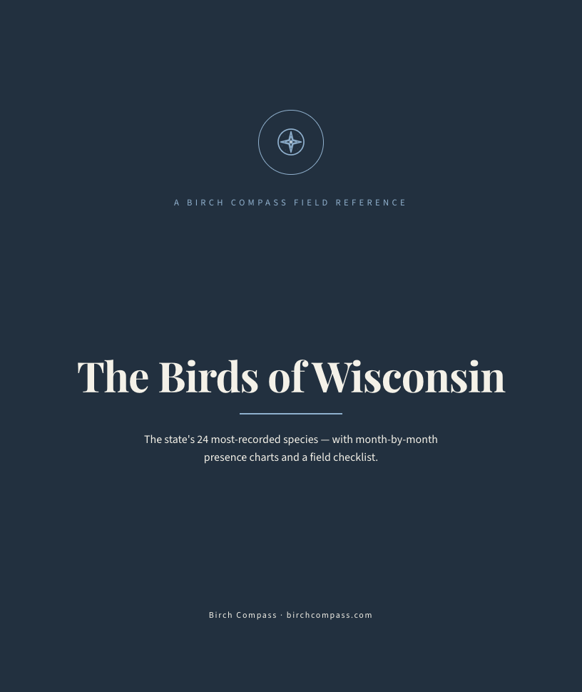 The cover of Birds of Wisconsin