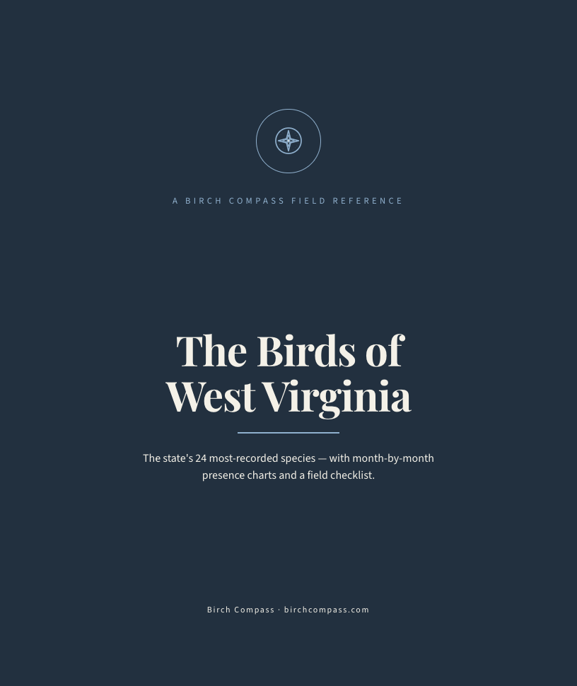 The cover of Birds of West Virginia
