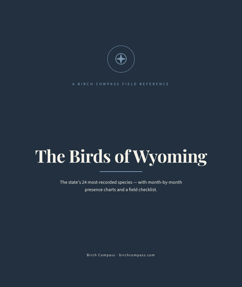 The cover of Birds of Wyoming