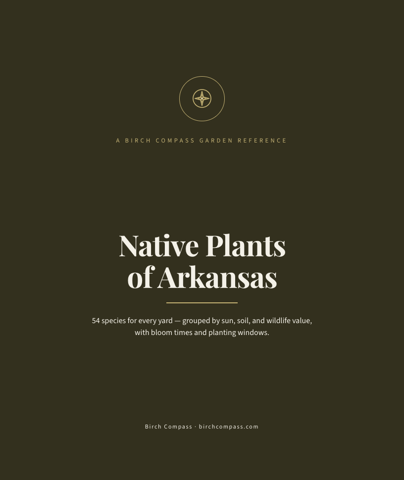 The cover of Native Plants of Arkansas