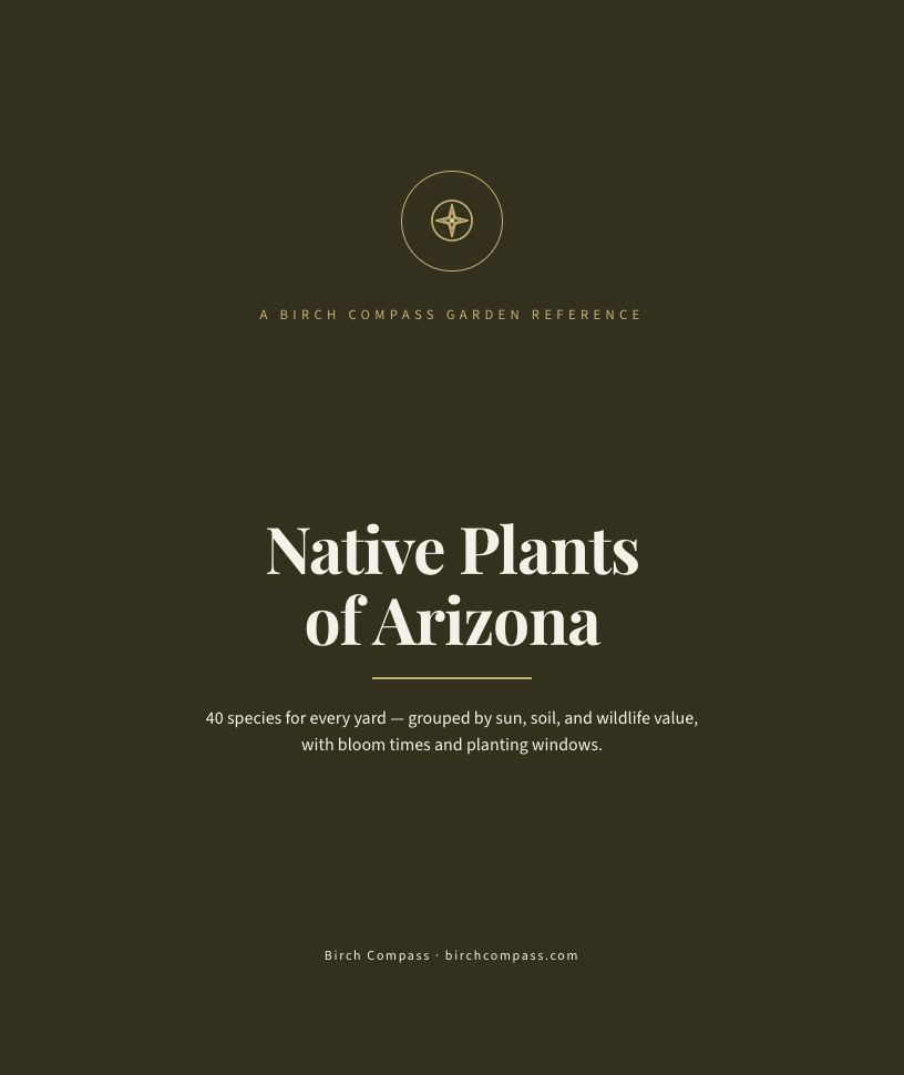 The cover of Native Plants of Arizona