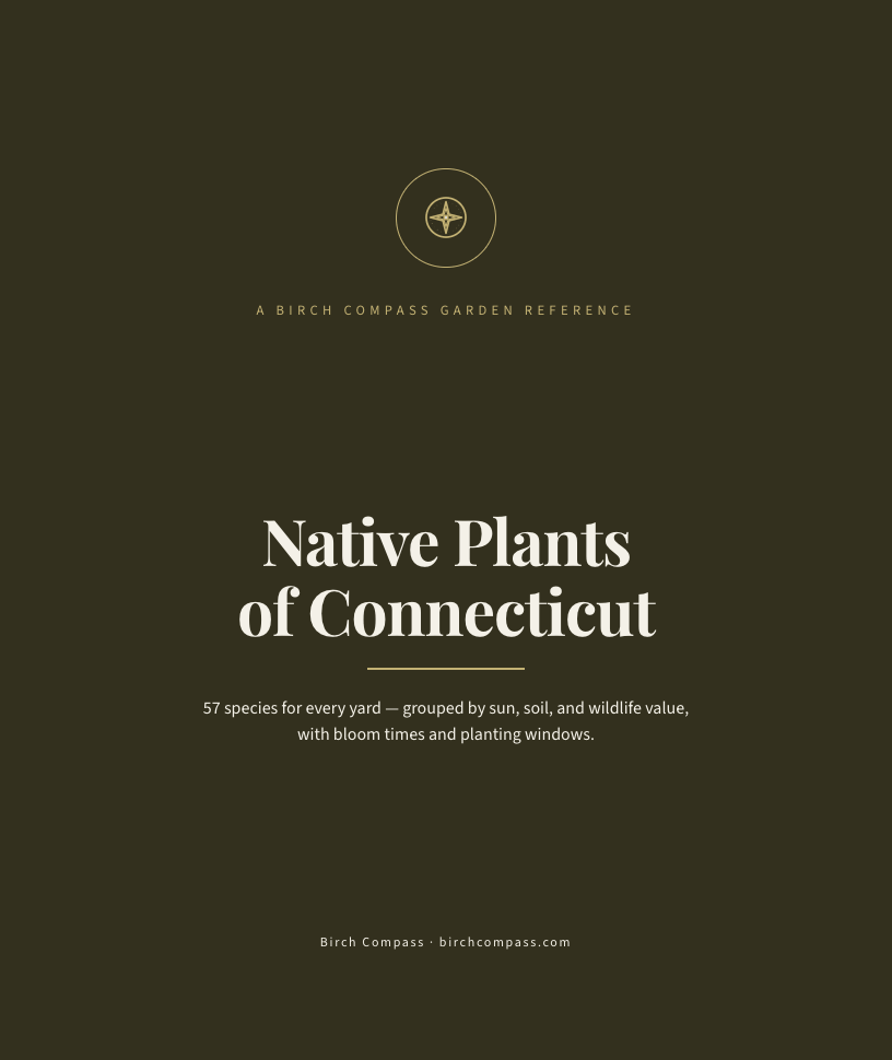The cover of Native Plants of Connecticut