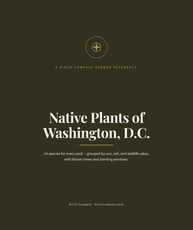 The cover of Native Plants of Washington, D.C.