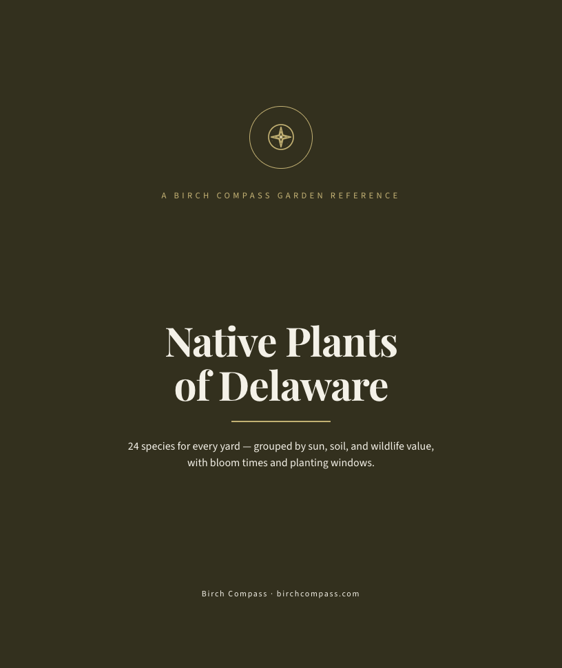 The cover of Native Plants of Delaware