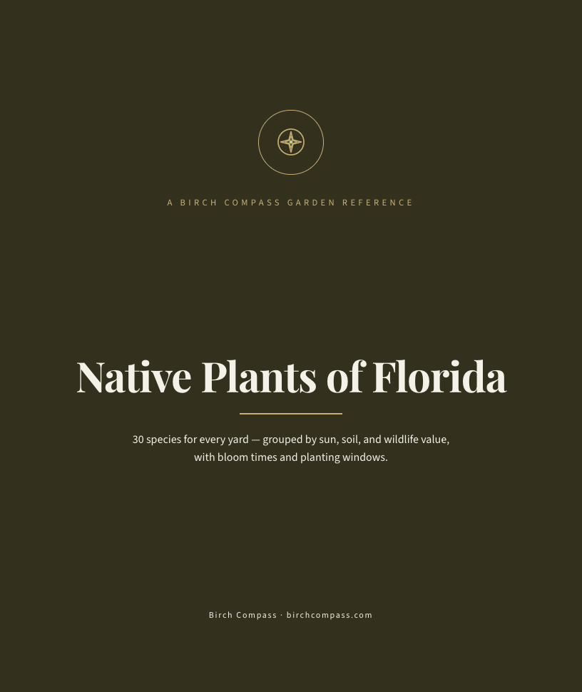 The cover of Native Plants of Florida