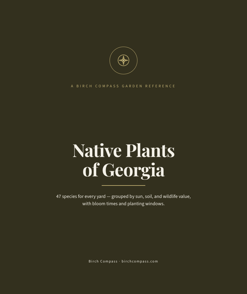 The cover of Native Plants of Georgia