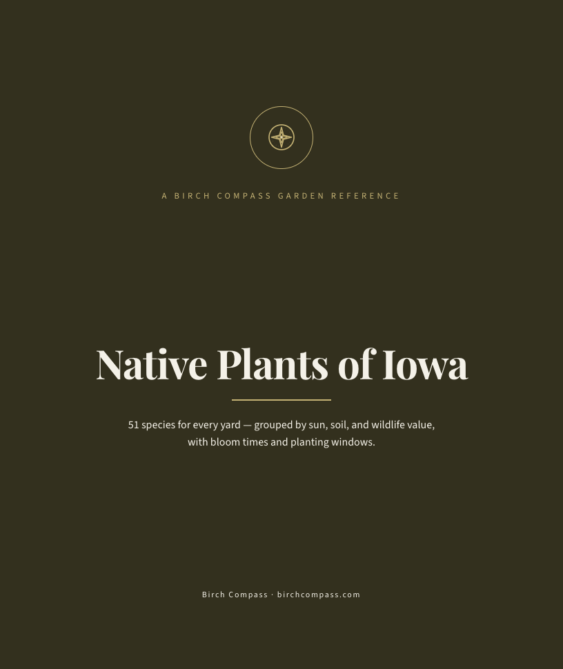 The cover of Native Plants of Iowa