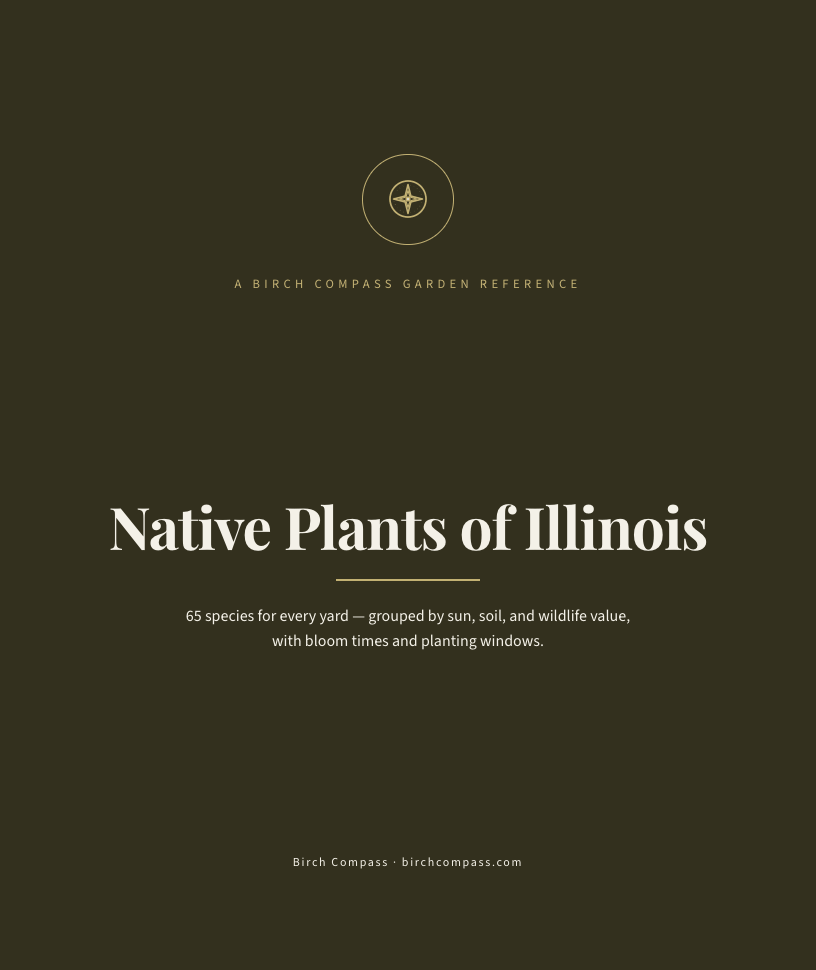 The cover of Native Plants of Illinois